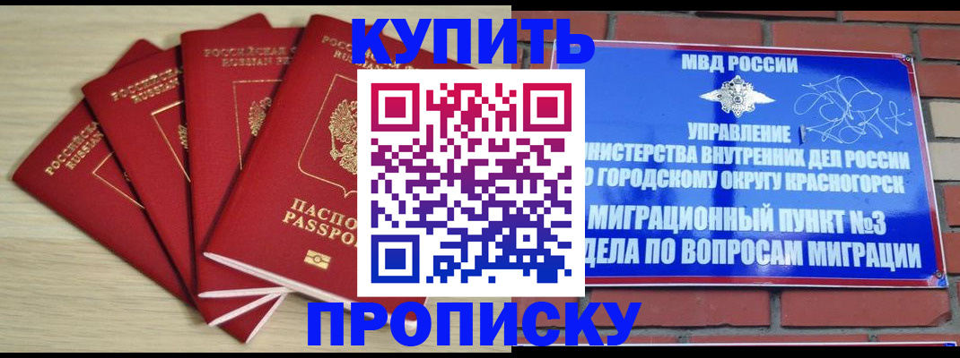 временная регистрация для всех в Камышлове